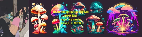 PSILOCYBIN Болхов