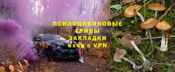 стафф Нязепетровск