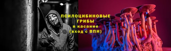 ПСИЛОЦИБИНОВЫЕ ГРИБЫ Верхнеуральск