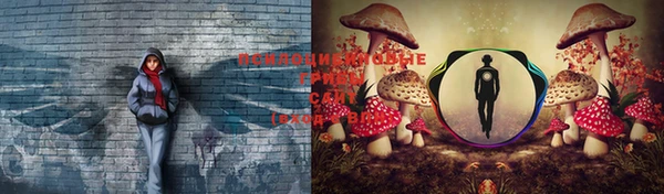 стафф Нязепетровск