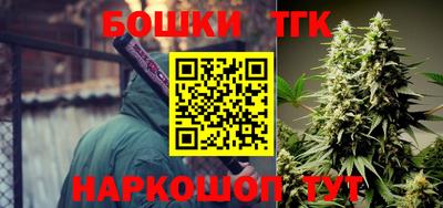 гашик Бийск