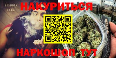 гашик Бийск