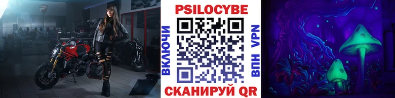 Псилоцибиновые грибы мухоморы  даркнет сайт  Заинск 