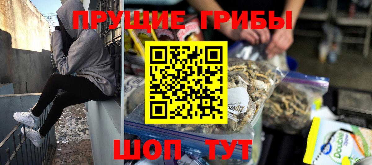 Заинск  Галлюциногенные грибы Psilocybe  Вход с VPN  Псилоцибиновые грибы Cubensis 