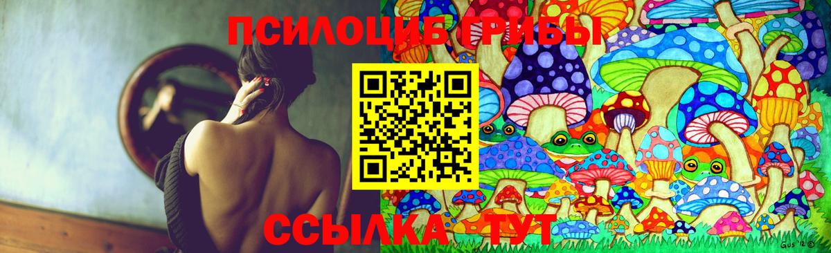 Галлюциногенные грибы прущие грибы  Заинск 