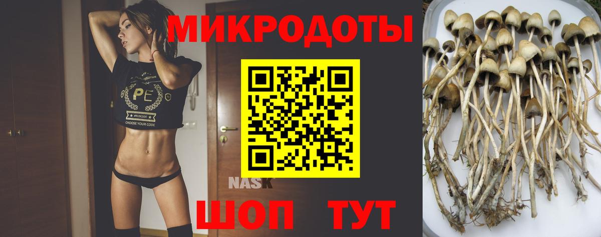 Псилоцибиновые грибы MAGIC MUSHROOMS Заинск